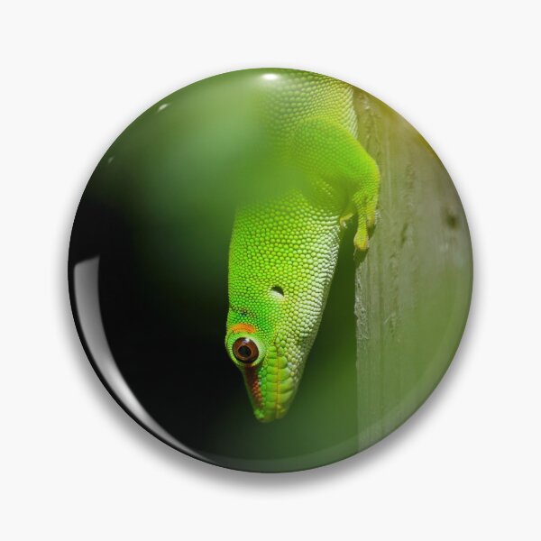 Item preview, Green gecko designed and sold by Gaël FONTAINE.