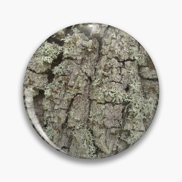 Item preview, Tree bark and lichen texture designed and sold by LittleBettyMakes.
