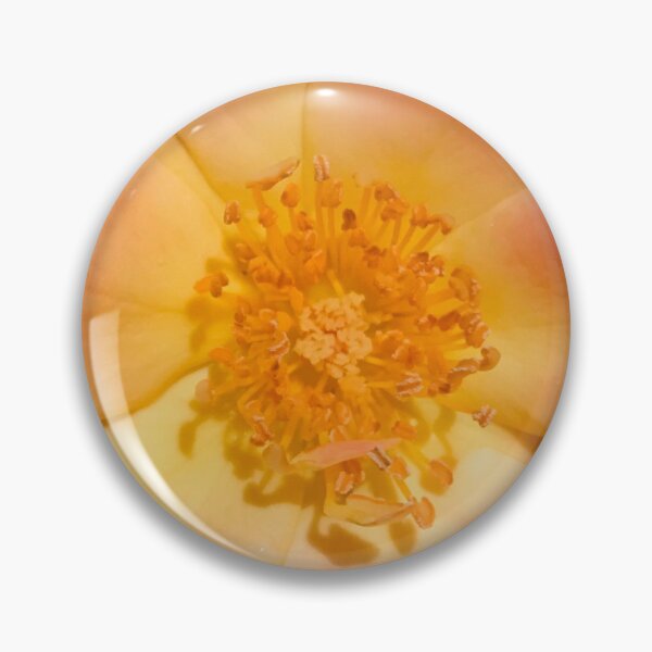 Item preview, Wild Peach Rose designed and sold by lissi kaplan.