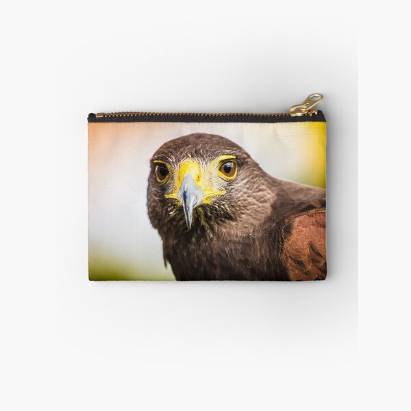 Item preview, Harris Hawk designed and sold by Cathy Griffiths.