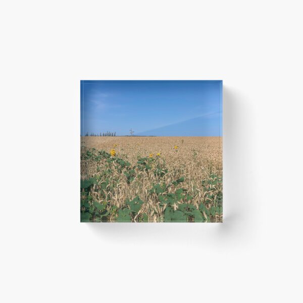 Artikelvorschau, Field of ripe golden wheat and sunflowers against a blue sky entworfen und verkauft von EG Creativity Art.