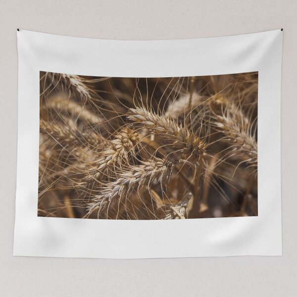 Item preview, Top view of ears of ripe golden wheat closeup designed and sold by EG Creativity Art.