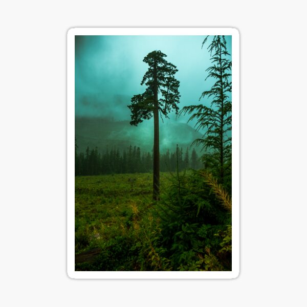 Big Lonely Doug Vancouver Island BC Port Renfrew Canada Sticker