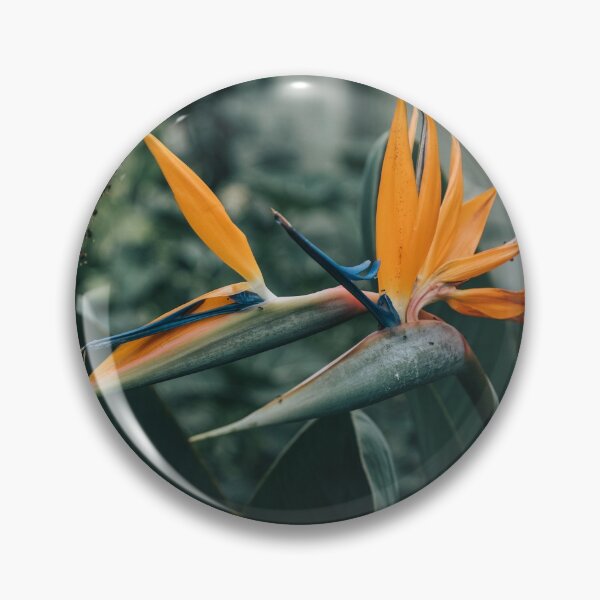 Item preview, Bird of Paradise designed and sold by Andrew Crandall.