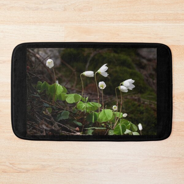 Item preview, Wood sorrel 3 designed and sold by Jouko Lehto Photography.