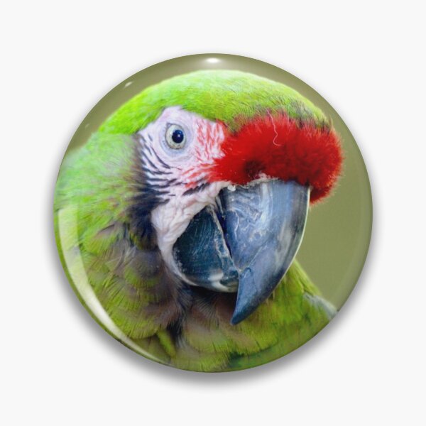 Item preview, Military Macaw Striking a Pose designed and sold by richardbryce.