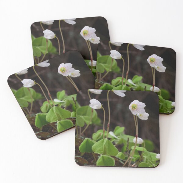 Item preview, Wood sorrel 16 designed and sold by Jouko Lehto Photography.
