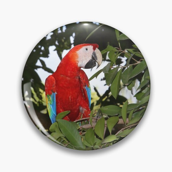 Item preview, Scarlet Macaw designed and sold by Carole-Anne.