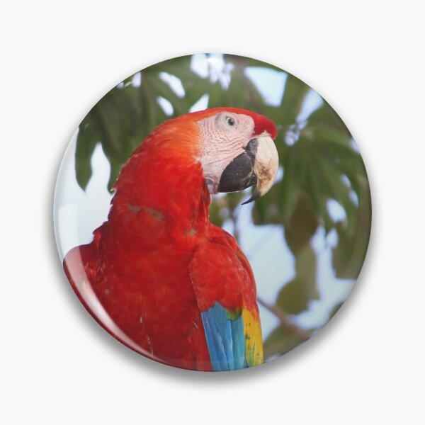 Item preview, Scarlet Macaw designed and sold by Carole-Anne.