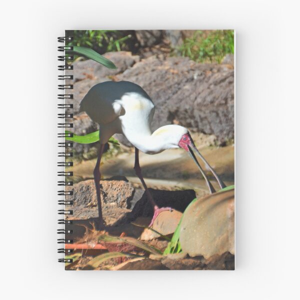 Item preview, Spoonbill.......... designed and sold by lynn carter.