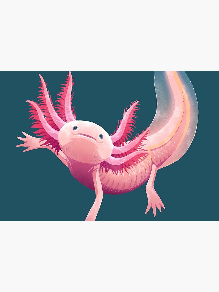 Axolotl by twicinas