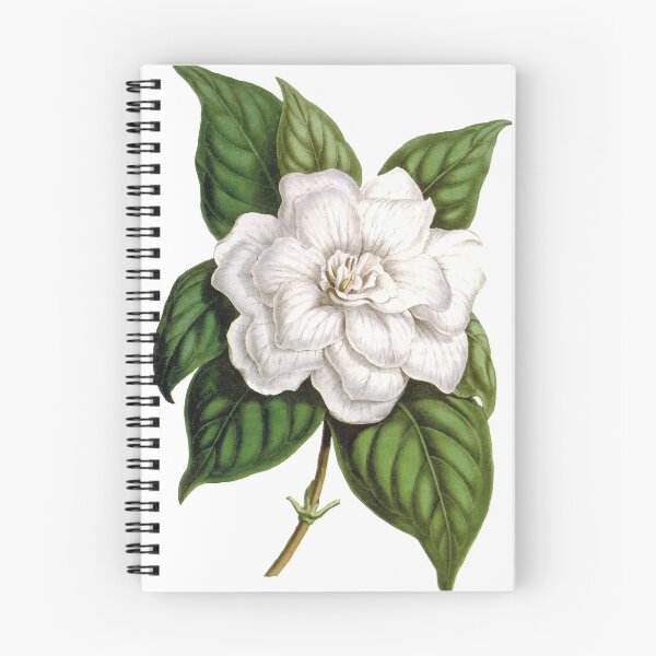 Item preview, Gardenia jasminoides designed and sold by minimalcinema.