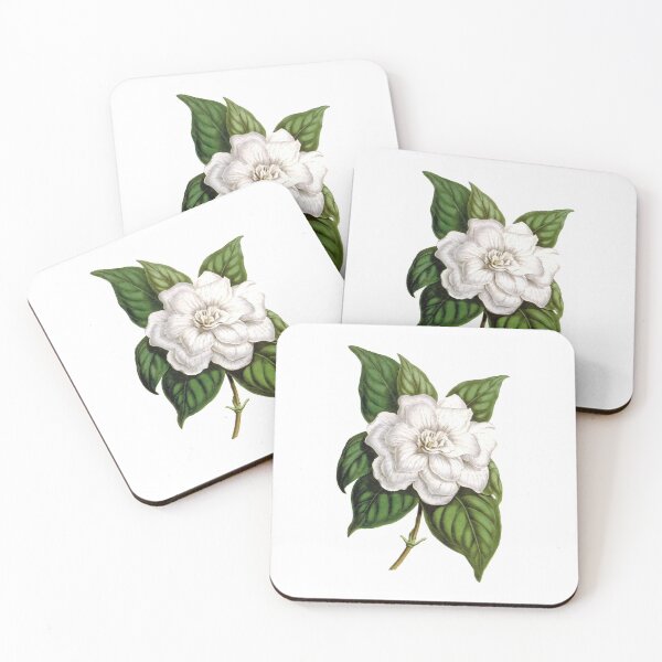 Item preview, Gardenia jasminoides designed and sold by minimalcinema.