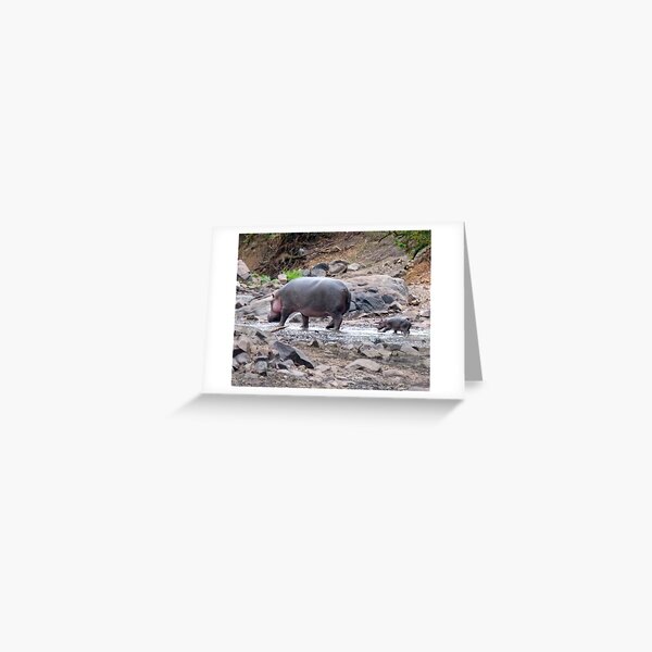 New born hippo Greeting Card