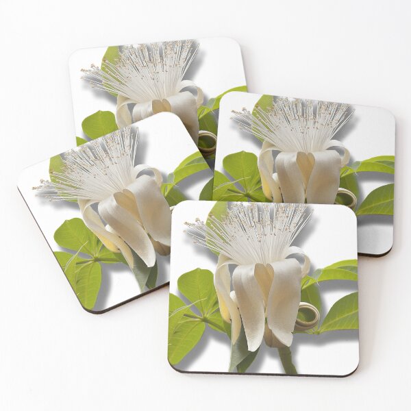 Item preview, Boab Flower by Kevin Smith designed and sold by RockpoolBroome.