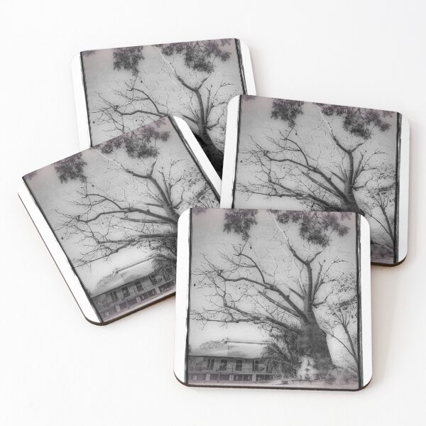 Item preview, Courthouse Boab by Kevin Smith designed and sold by RockpoolBroome.
