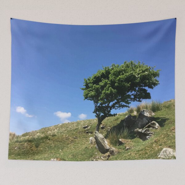 Item preview, Lonely Irish Tree designed and sold by JJ McColgan.
