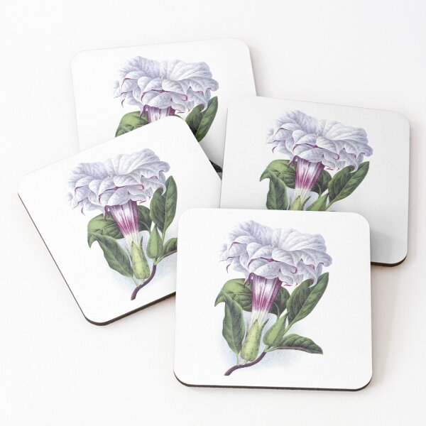 Item preview, Datura Metel cornucopia designed and sold by minimalcinema.