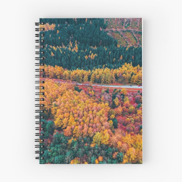 Item preview, Autumn Trees Arial View designed and sold by gbgvphotography.