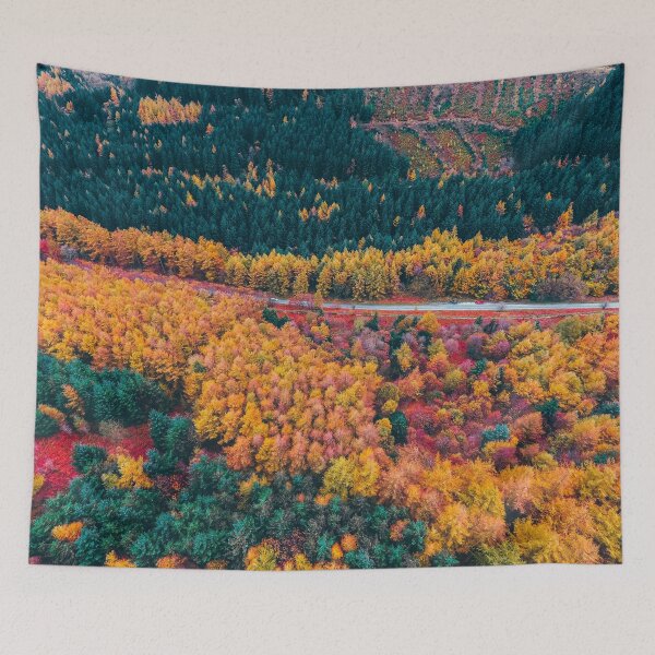 Item preview, Autumn Trees Arial View designed and sold by gbgvphotography.