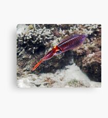 weight less ... Canvas Print