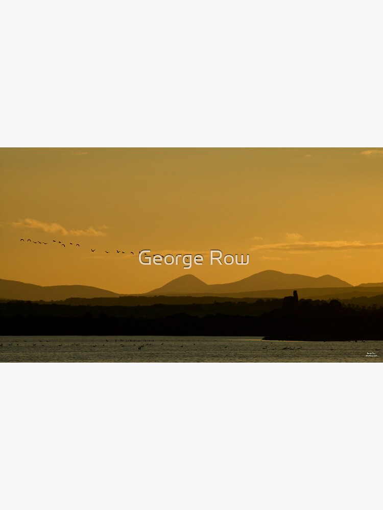 Geese over Derryveagh mountains at Twilight by VeryIreland