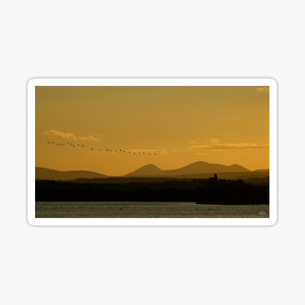Geese over Derryveagh mountains at Twilight Sticker