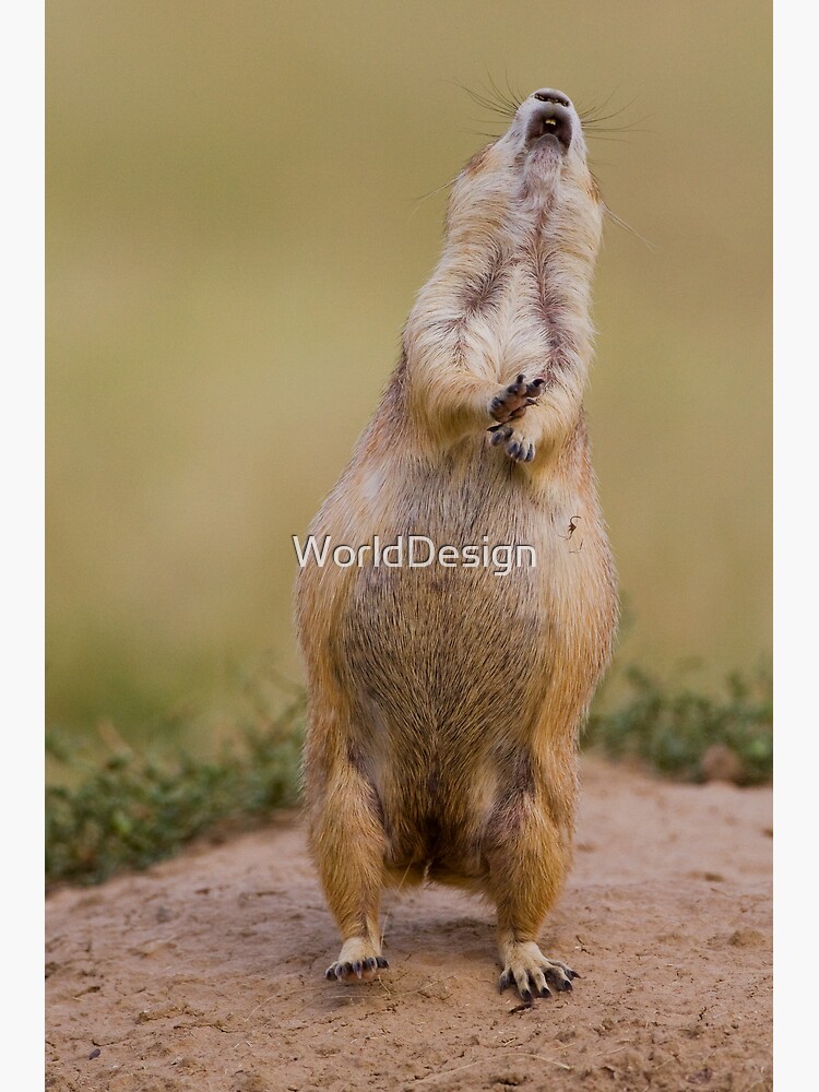 "Foot Slapping Alarm" Poster for Sale by WorldDesign Redbubble