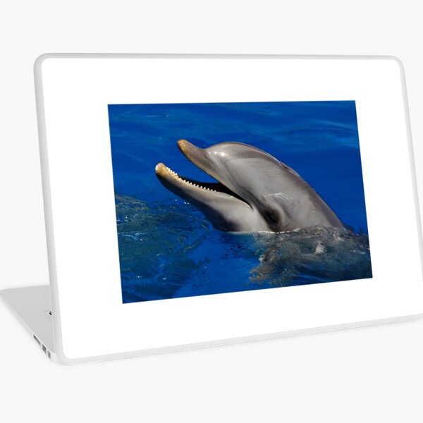 Dolphins Laptop Skin