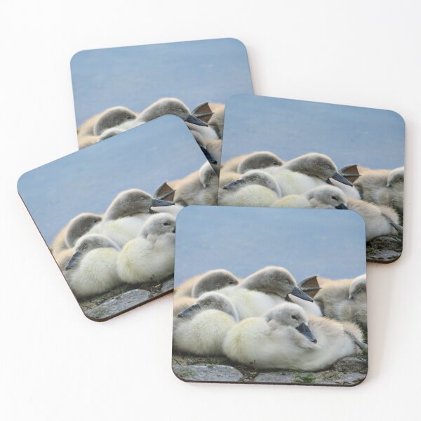 Item preview, Cygnets designed and sold by Seashorepics.
