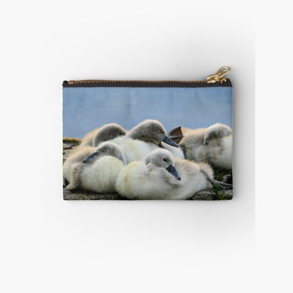 Item preview, Cygnets designed and sold by Seashorepics.