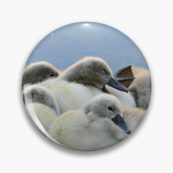Item preview, Cygnets designed and sold by Seashorepics.