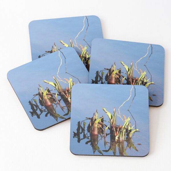 Item preview, Water plants designed and sold by aquabella.