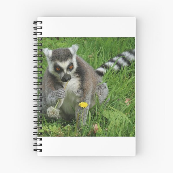 Item preview, Ring Tailed Lemur designed and sold by aquabella.