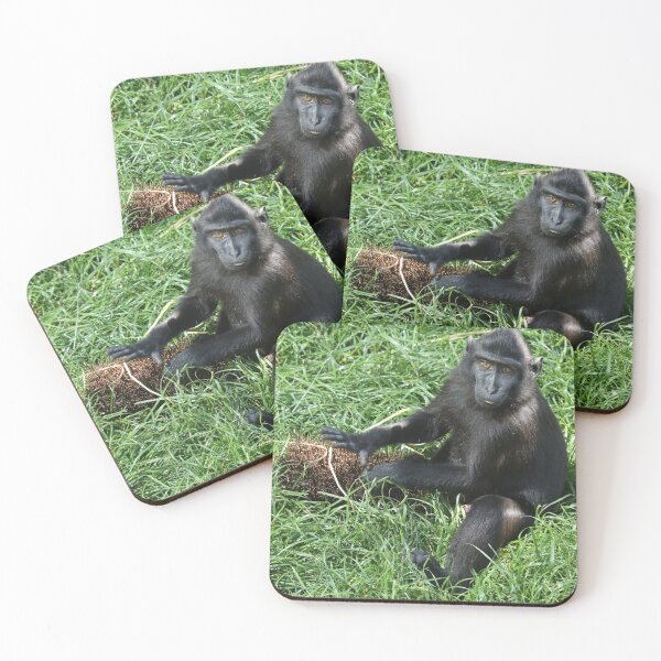 Item preview, Sulawesi Crested Black Macaque designed and sold by aquabella.