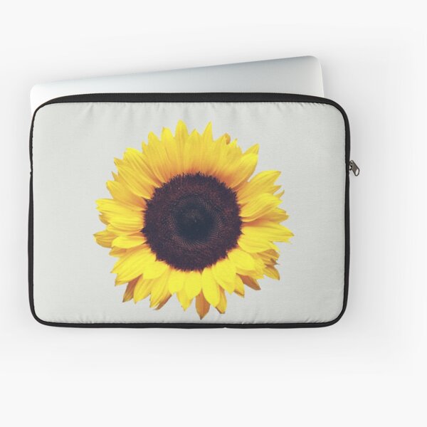 Get Strandthematisch dekor For iPhone Strandthematisch Dekor