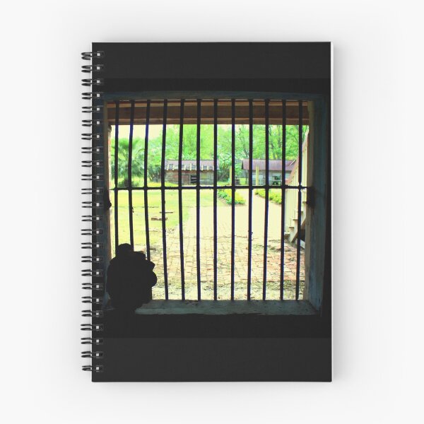 Item preview, View From Under Laura's Plantation, Louisiana designed and sold by anitahiltz.