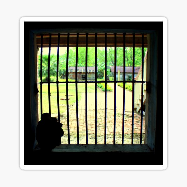 Item preview, View From Under Laura's Plantation, Louisiana designed and sold by anitahiltz.