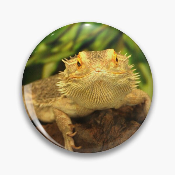 Item preview, Bearded Dragon designed and sold by Jo Nijenhuis.