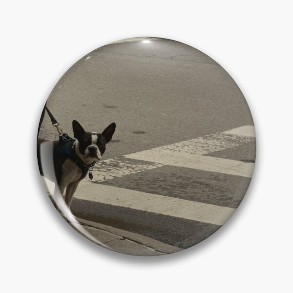 Item preview, Dog on watch  designed and sold by janet reidman.