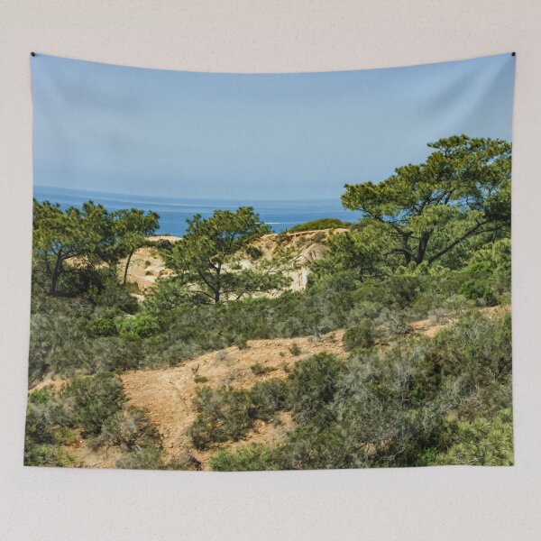 Item preview, Torrey Pines - Unexpected Wilderness on the Southern California Coast designed and sold by Georgia Mizuleva.