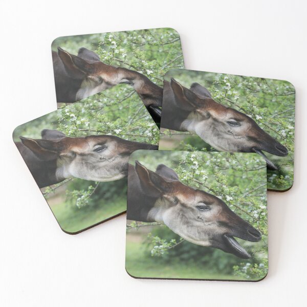 Item preview, Okapi designed and sold by aquabella.
