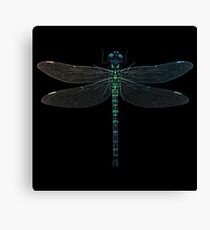 Dragonfly Canvas Print
