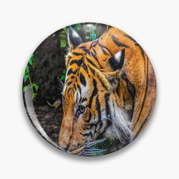 Item preview, fwc 1308 alberta amazing attraction designed and sold by fred chiea.