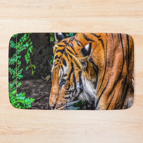 Item preview, fwc 1308 alberta amazing attraction designed and sold by fred chiea.