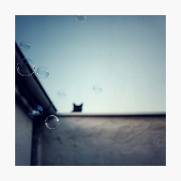 Item preview, Bubble cat... designed and sold by Louise LeGresley.