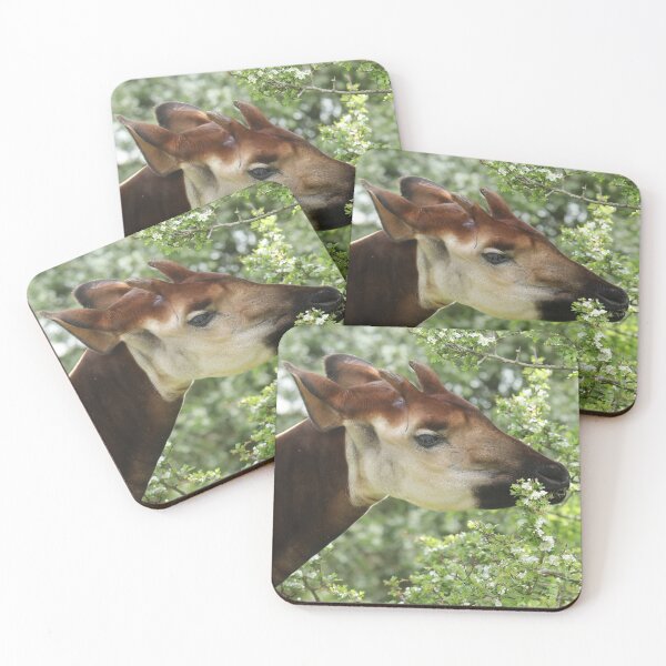Item preview, Okapi designed and sold by aquabella.