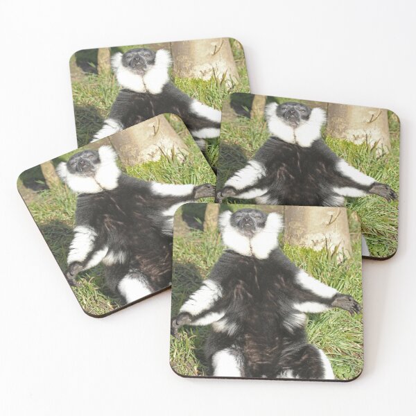 Item preview, Sunbathing Lemur designed and sold by aquabella.