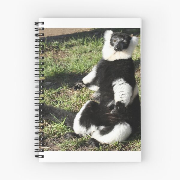 Item preview, Sunbathing Lemur designed and sold by aquabella.