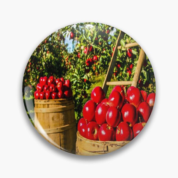 Item preview, fwc 1335 orchard designed and sold by fred chiea.